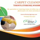 Entreprises 10 image SHINE TECH GROUP LTD. Window Cleaners dans Brampton ON