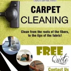 Entreprises 14 image SHINE TECH GROUP LTD. Window Cleaners dans Brampton ON