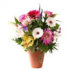 Business 3 image SICKELMORES FLOWERS Shopping in Vancouver BC