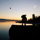 Business 1 image SIMPLY NATURAL RAW PET FOOD Shopping in Vancouver BC