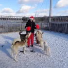 Entreprises 5 image SITTIN PRETTY DOGGY DAYCARE & SPA LTD Pet Grooming Services dans Bedford NS