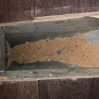 Business 11 image SM DUCT CLEANING - MISSISSAUGA Business & Professional Services in Mississauga ON