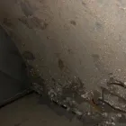 Business 13 image SM DUCT CLEANING - MISSISSAUGA Business & Professional Services in Mississauga ON