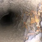 Business 2 image SM DUCT CLEANING - MISSISSAUGA Business & Professional Services in Mississauga ON