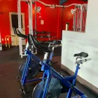Business 4 image SNT Sports & Recreation in Edmonton AB