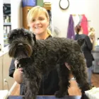 Entreprises 3 image SOCIAL PETS Shopping dans Kelowna BC