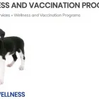 Entreprises 1 image SOUTH PEEL VETERINARY HOSPITAL Veterinarians dans Mississauga ON