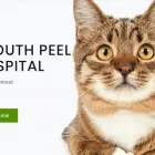 Entreprises 2 image SOUTH PEEL VETERINARY HOSPITAL Veterinarians dans Mississauga ON