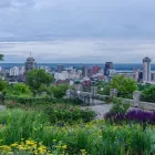 Business 52 image STAYBRIDGE SUITES HAMILTON - DOWNTOWN Wedding Venues in Hamilton ON