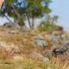 Entreprises 6 image STEP AHEAD PODIATRY CLINIC - SOUTH EDMONTON Chiropodists & Podiatrists dans Edmonton AB