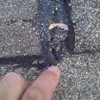 Entreprises 10 image STRATEGY ROOFING SOLUTIONS Roofing Contractors dans Markham ON