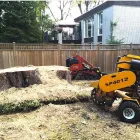 Business 3 image STUMP TECH Tree Work & Forestry Services in Bowmanville ON