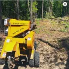 Business 5 image STUMP TECH Tree Work & Forestry Services in Bowmanville ON