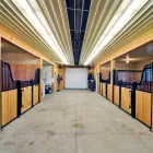 Entreprises 4 image SUPERIOR BUILDINGS & DESIGN LTD Real Estate & Home Improvement dans Edmonton AB