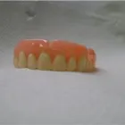 Business 8 image SVETLANA LOPAREVA DENTURE CLINIC Health & Medicine in Vancouver BC