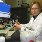 Business 1 image SVETLANA LOPAREVA DENTURE CLINIC Health & Medicine in Vancouver BC