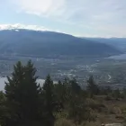 Entreprises 2 image T-REX EXCAVATING & DEMOLITION Industries & Agriculture dans West Kelowna BC
