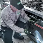 Entreprises 1 image TERMINIX CANADA Pest & Vermin Control dans Dartmouth NS