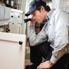 Entreprises 5 image TERMINIX CANADA Pest & Vermin Control dans Dartmouth NS