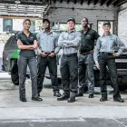 Entreprises 9 image TERMINIX CANADA Pest & Vermin Control dans Dartmouth NS