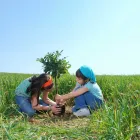 Entreprises 4 image THE CO-OPERATORS - SALLY CHEN, AGENT Legal & Financial Services dans Markham ON