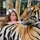 Business 4 image THE THAI TOURISM travel & tourism in Vancouver BC