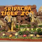 Business 5 image THE THAI TOURISM travel & tourism in Vancouver BC