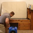 Entreprises 2 image THERMOKILL BED BUGS HEAT TREATMENT TORONTO Pest Controls dans Concord ON