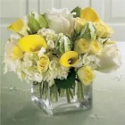 Business 1 image TIDY'S FLOWERS Shopping in Etobicoke ON