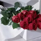 Business 4 image TIDY'S FLOWERS Shopping in Etobicoke ON