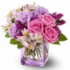 Business 9 image TIDY'S FLOWERS Shopping in Etobicoke ON