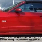 Business 8 image TIRE CAPITAL Tire Dealers & Repairs in Edmonton AB