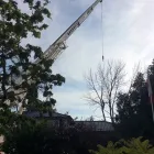 Entreprises 2 image TOWNE TREES INC Tree Work & Forestry Services dans Mississauga ON