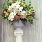 Business 5 image TRANS CANADA FLORIST LTD Shopping in Vancouver BC