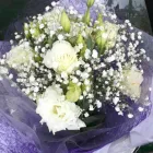 Business 7 image TRANS CANADA FLORIST LTD Shopping in Vancouver BC