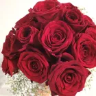 Business 2 image TRANS CANADA FLORIST LTD Shopping in Vancouver BC