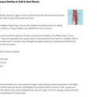 Business 5 image TRI-CITIES PEST DETECTIVE Pest & Vermin Control in Port Moody BC