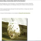 Business 11 image TRI-CITIES PEST DETECTIVE Pest & Vermin Control in Port Moody BC