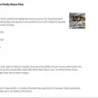 Business 2 image TRI-CITIES PEST DETECTIVE Pest & Vermin Control in Port Moody BC