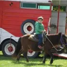 Business 7 image TRILLIUM MONTESSORI SCHOOL Elementary & Secondary Schools in Markham ON