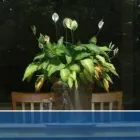 Entreprises 1 image TRUESEAL WINDOW & DOOR SYSTEMS Real Estate & Home Improvement dans Brampton ON