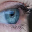 Entreprises 5 image UNITED OPTICAL DISPENSARY LTD Ophthalmologists, Optometrists & Opticians dans Burnaby BC