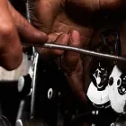 Business 1 image UNLEASHED CYCLE & SLED Motorcycle & Scooter Repair in Edmonton AB