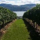 Entreprises 6 image UPPER END WINE TOURS KELOWNA travel & tourism dans Kelowna BC