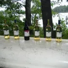 Entreprises 9 image VINTNER'S CELLAR Winemaking & Brewing Equipment & Supplies dans Bowmanville ON