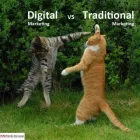 Entreprises 2 image VN WEB GROUP Web Design & Development dans Vancouver BC