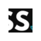 Entreprises 1 image WEBSITE SEO SERVICES Web Site Design dans Toronto ON