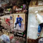 Business 13 image WEST EDMONTON COIN & STAMP CORPORATION Stamp & Coin Dealers in Edmonton AB