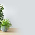 Business 5 image WEST END WELLNESS Massage Therapists in Vancouver BC