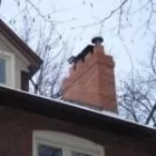 Business 20 image WILKENS CONTRACTING INC Real Estate & Home Improvement in East York ON
